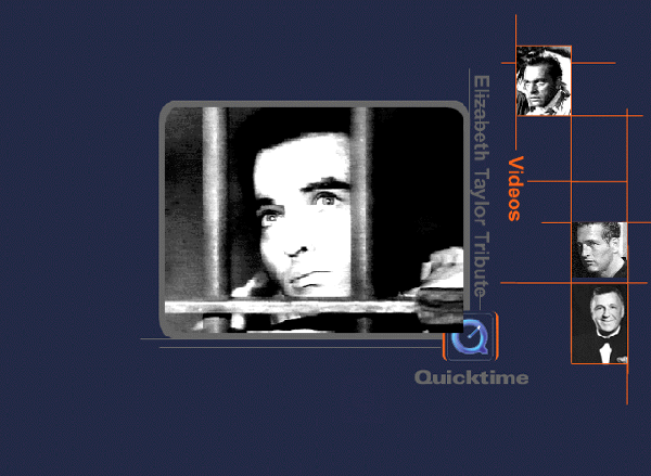 quicktime.gif (75133 byte)